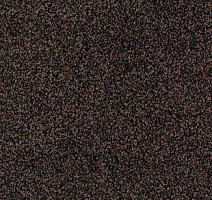 Ковролин Desso Torso B 2921 фото 1 | FLOORDEALER