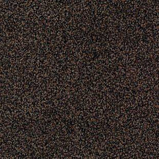 Desso Torso B 2921 фото 1 | FLOORDEALER