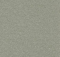 Ковролин AW Confidence 27 фото 1 | FLOORDEALER