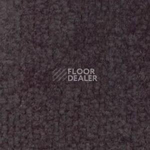 Ковролин Shaw Bradberry 30 898 фото 1 | FLOORDEALER