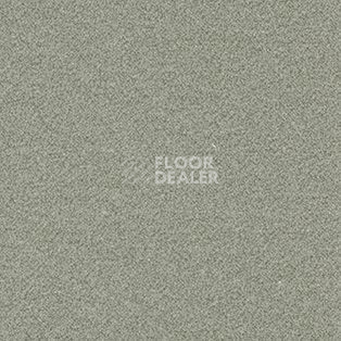 Ковролин AW Confidence 27 фото 1 | FLOORDEALER
