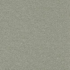 Ковролин AW Confidence 27 фото 1 | FLOORDEALER