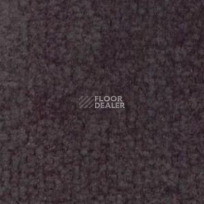 Ковролин Shaw Bradberry 30 898 фото 1 | FLOORDEALER