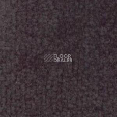 Ковролин Shaw Bradberry 30 898 фото 1 | FLOORDEALER