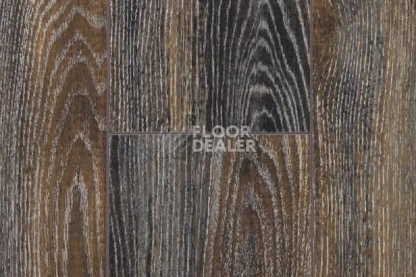 Ламинат Falquon Blue Line Wood 8mm D3686 Canyon Black Oak глянец фото 1 | FLOORDEALER