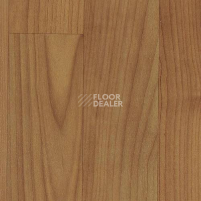 Линолеум GraboSport Prima 3151_378_273 фото 1 | FLOORDEALER