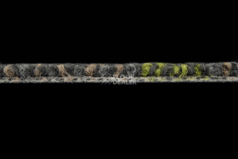 Beach 2011-12 + New Leaf фото 3 | FLOORDEALER