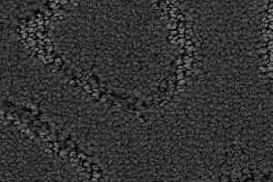 Ковролин Balsan Mythique 960 фото  | FLOORDEALER