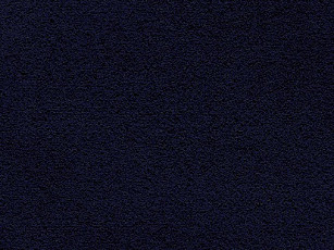 Ковролин Balta Wild Luxury Paddington 78 фото 1 | FLOORDEALER