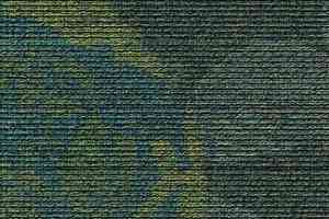 Ковровая плитка Desso Visions of Flowers 7452 фото  | FLOORDEALER