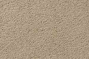 Ковролин Vorwerk Passion 1003 Vorwerk 8h96 фото  | FLOORDEALER