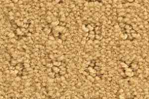 Ковролин Balsan Patio Patio 330 фото  | FLOORDEALER