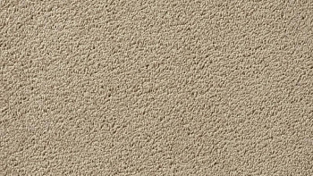 Ковролин Vorwerk Passion 1003 Vorwerk 8h96 фото 1 | FLOORDEALER