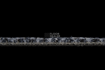 Balsan Take a Walk 970 Take a Walk фото 5 | FLOORDEALER