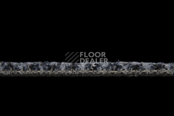 Balsan Take a Walk 970 Take a Walk фото 5 | FLOORDEALER