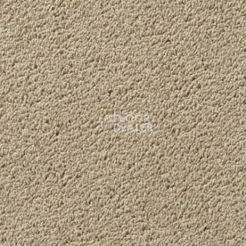 Ковролин Vorwerk Passion 1003 Vorwerk 8h96 фото 1 | FLOORDEALER