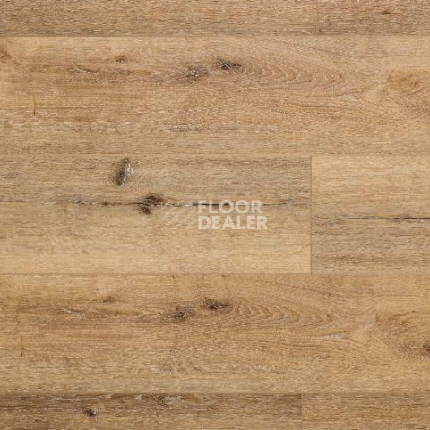 Кварцвиниловые полы Aquafloor Real Wood XL Glue AF8002XL GLUE фото 1 | FLOORDEALER