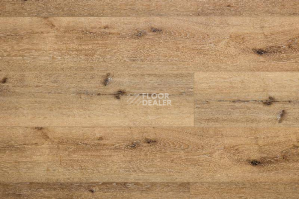 Кварцвиниловые полы Aquafloor Real Wood XL Glue AF8002XL GLUE фото 1 | FLOORDEALER