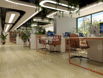 Tulesna Premium 8мм Modesto 1004-301 фото 3 | FLOORDEALER