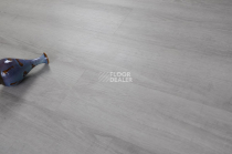 Evofloor Optima Click 4.2мм Дуб Серебряный фото 5 | FLOORDEALER