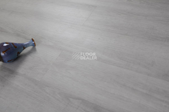 Evofloor Optima Click 4.2мм Дуб Серебряный фото 5 | FLOORDEALER