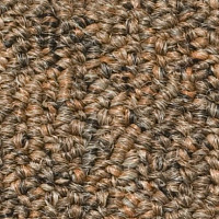 Ковролин Salisbury Beaulieu of America 008 фото 1 | FLOORDEALER