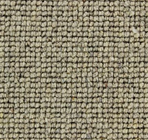 Ковролин Edel Centre Point 329 фото 1 | FLOORDEALER