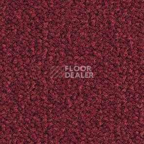 Ковролин Balsan Les Best III Les Best III 585 фото 1 | FLOORDEALER