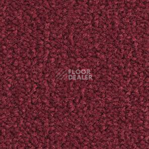 Ковролин Balsan Les Best III Les Best III 585 фото 1 | FLOORDEALER