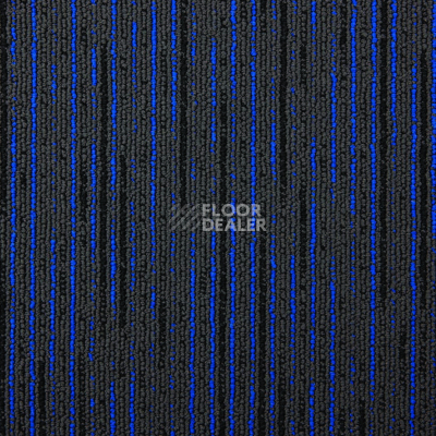 Ковровая плитка Modulyss Connexxion 552 фото 1 | FLOORDEALER