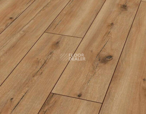 Ламинат Villeroy & Boch Contemporary vb1007 Straight Oak фото 1 | FLOORDEALER