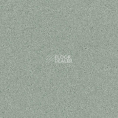Линолеум Primo Plus Marine 311 фото 1 | FLOORDEALER