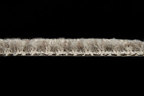 Haima LOFT 11 фото 5 | FLOORDEALER