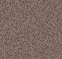 Ковролин Vorwerk Lyrica 8e59 фото 1 | FLOORDEALER