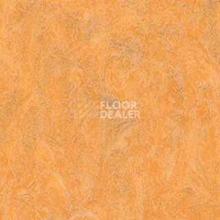 Линолеум Grabo Diamond Standart Forte 4213-464 фото 1 | FLOORDEALER