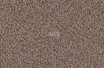 Ковролин Vorwerk Lyrica 8e59 фото 1 | FLOORDEALER