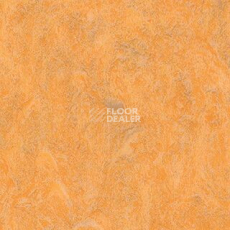 Линолеум Grabo Diamond Standart Forte 4213-464 фото 1 | FLOORDEALER