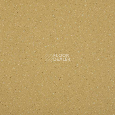 Линолеум Lg Compact CT90518 фото 1 | FLOORDEALER
