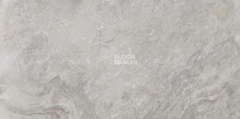 Керамогранит Mirage-Image 596 x 1200 Mirage-Image Silver 59,6x120 фото 1 | FLOORDEALER