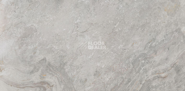 Керамогранит Mirage-Image 596 x 1200 Mirage-Image Silver 59,6x120 фото 1 | FLOORDEALER