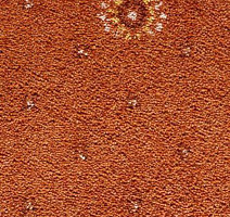 Ковролин Condor Carpets Australia 241 фото 1 | FLOORDEALER