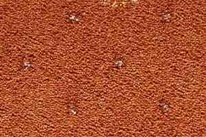 Ковролин Condor Carpets Australia 241 фото  | FLOORDEALER