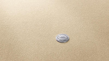 Ковролин Vorwerk Superior 1063 Vorwerk 8k16 фото 1 | FLOORDEALER