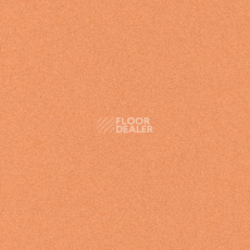 Линолеум Tarkett iq Melodia 2635 фото 1 | FLOORDEALER