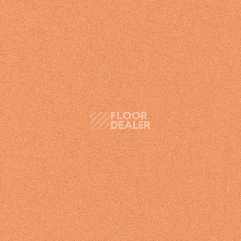 Линолеум Tarkett iq Melodia 2635 фото 1 | FLOORDEALER