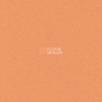 Линолеум Tarkett iq Melodia 2635 фото 1 | FLOORDEALER