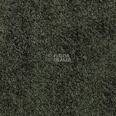 Ковролин AW Sunset 24 фото 1 | FLOORDEALER