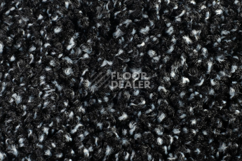 Forbo Coral Luxe 2911 Diamond фото 2 | FLOORDEALER