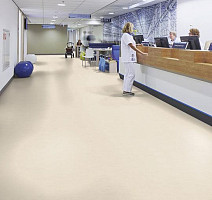 Forbo Marmoleum Solid Concrete 3701-370135 moon фото 3 | FLOORDEALER