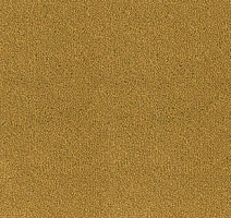 Ковролин Desso Asteranne 6112 фото 1 | FLOORDEALER